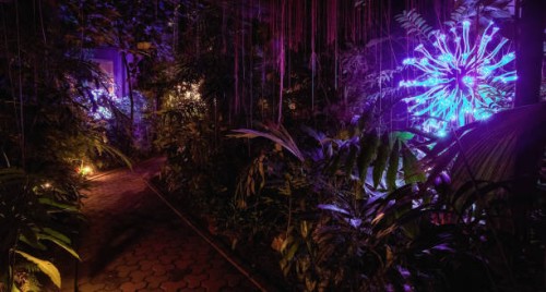 bruce munro at the garden - garden decoration stock pictures, royalty-free photos & images