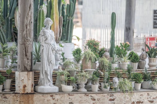 cactus and earth pot on old wall - garden decoration stock pictures, royalty-free photos & images