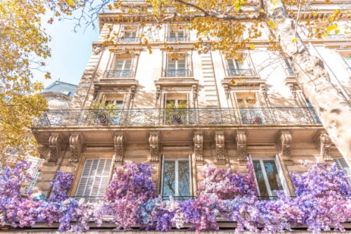 cafe in a paris corner decorated with purple flowers. - home decoration stock pictures, royalty-free photos & images