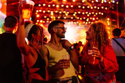 carefree friends at summer festival - concert stock pictures, royalty-free photos & images