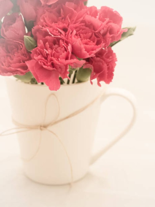 carnations 06 - garden decoration stock pictures, royalty-free photos & images