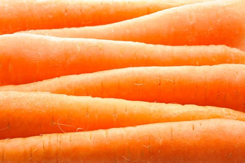 carrot - food stock pictures, royalty-free photos & images