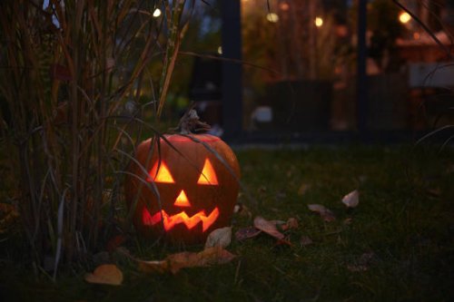 carved jack-o-lanterns in garden - garden decoration stock pictures, royalty-free photos & images