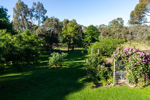 castlemaine, victoria, australia. - garden decoration stock pictures, royalty-free photos & images