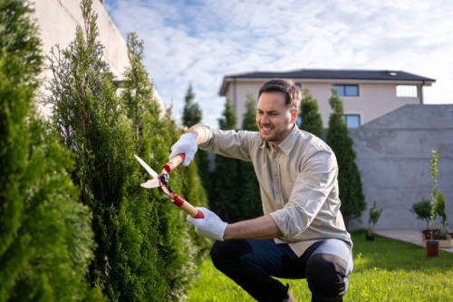 caucasian gardener using pruning shears to trim the small tree fir in the garden - garden decoration stock pictures, royalty-free photos & images