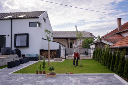 caucasian professional gardener using pruning shears to prune the tree in the garden - garden decoration stock pictures, royalty-free photos & images