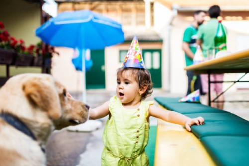 celebrating birthday with my best friend - garden decoration stock pictures, royalty-free photos & images