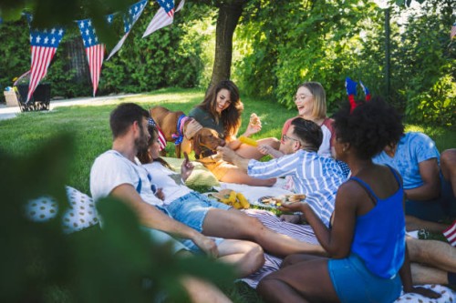 celebrating fourth july - garden decoration stock pictures, royalty-free photos & images