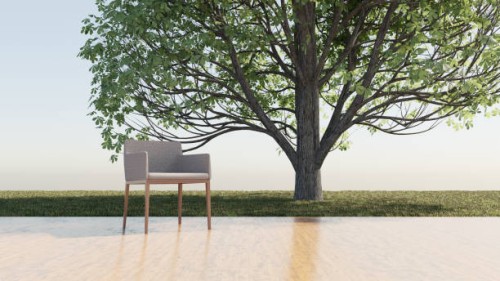 chair on wooden floor, garden background with tree. - garden decoration stock pictures, royalty-free photos & images