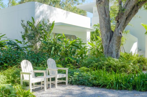chairs in a tropical garden hideaway with tall evergreen trees. - garden decoration stock pictures, royalty-free photos & images