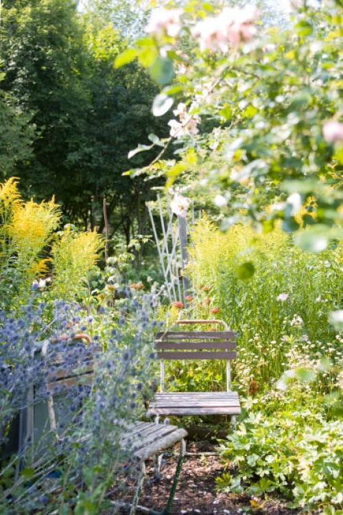 chairs in flower garden - garden decoration photos et images de collection
