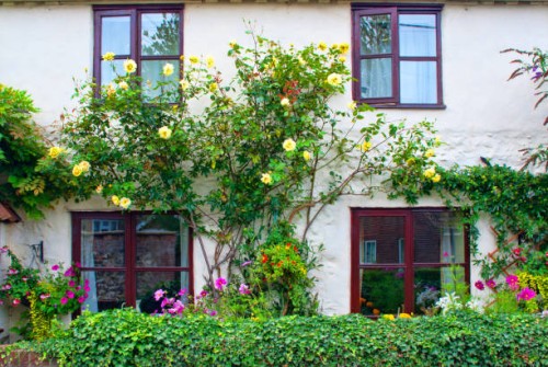 charming norfolk cottage - garden decoration stock pictures, royalty-free photos & images
