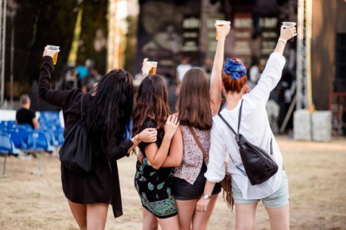 cheering for their favorite music cocnert - concert stock pictures, royalty-free photos & images