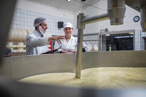 cheese factory workers controlling curdling process - food stock pictures, royalty-free photos & images