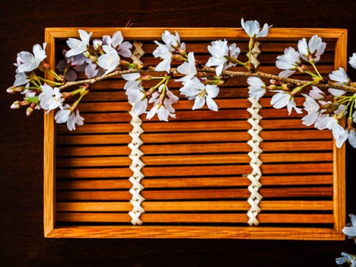 cherry blossom 21 - garden decoration stock pictures, royalty-free photos & images