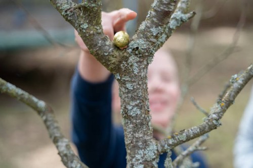 child in backyard, found chocolate egg on tree - garden decoration stock pictures, royalty-free photos & images