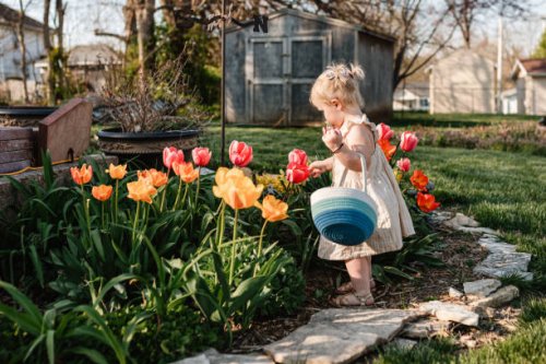 child in garden on easter egg hunt - garden decoration stock pictures, royalty-free photos & images