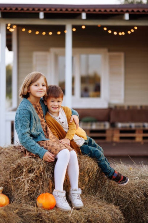 children sit on the hay in the yard decorated with pumpkins for halloween. - garden decoration stock pictures, royalty-free photos & images