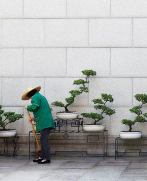 chinese ancient style ornamental potted plants and a sanitation worker - garden decoration stock-fotos und bilder