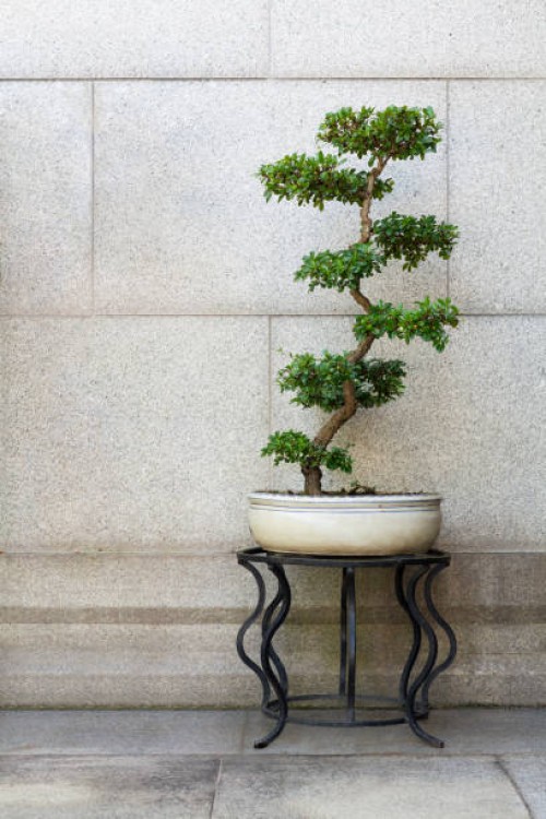 chinese ancient style ornamental potted plants - garden decoration stock-fotos und bilder