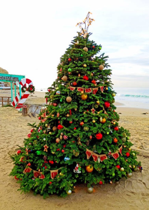 christmas at crystal cove 2015 - garden decoration stock-fotos und bilder