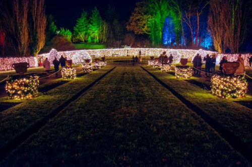 christmas garden berlin - garden decoration stock pictures, royalty-free photos & images
