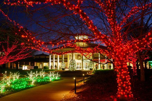 christmas lights - garden decoration stock pictures, royalty-free photos & images