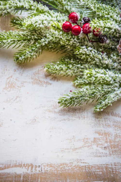 christmas time concept - garden decoration stock pictures, royalty-free photos & images