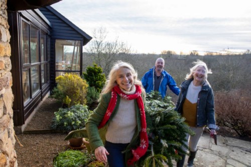 christmas tree joy - garden decoration stock pictures, royalty-free photos & images