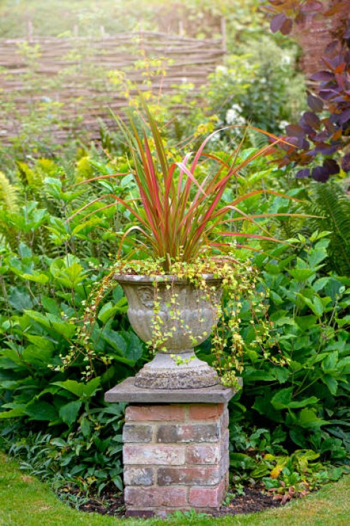 close-up image of an ornamental concrete garden planter or urn with a red cordyline - garden decoration stock pictures, royalty-free photos & images