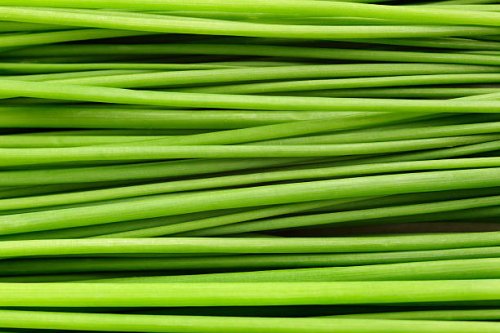 close-up of a bunch of chives laying down. - food stock pictures, royalty-free photos & images
