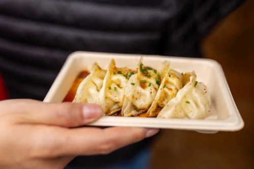 close-up of a woman holding a plate of delicious steaming gyoza dumplings - junk food stock pictures, royalty-free photos & images