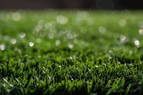 close-up of artificial grass - garden decoration stock pictures, royalty-free photos & images