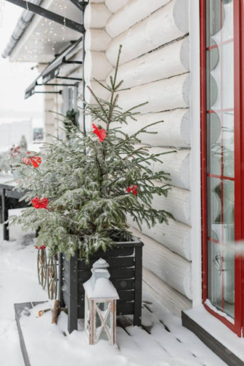 close-up of decorations on a christmas tree outside a house on a snowy winter day, belarus - garden decoration stock pictures, royalty-free photos & images