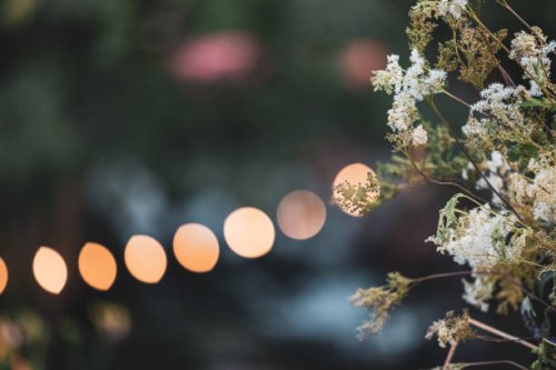 close-up of flowers in front of defocused fairy lights. decoration service at a garden party, summer festival, or wedding. catering. - garden decoration stock pictures, royalty-free photos & images