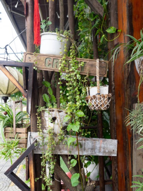 close-up of houseplants on shelves - garden decoration stock pictures, royalty-free photos & images