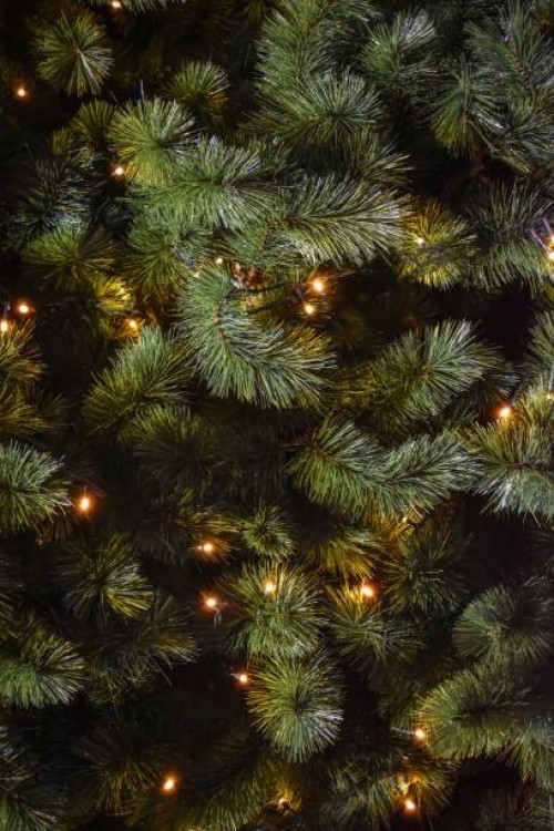 close-up of illuminated christmas tree - home decoration stock pictures, royalty-free photos & images