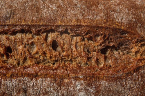 close-up of the texture of homemade bread - food stock pictures, royalty-free photos & images