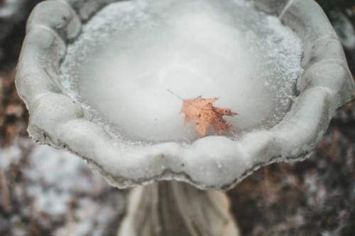close up of a frozen birdbath - garden decoration stock pictures, royalty-free photos & images