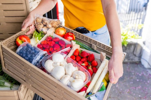 close up of a plastic box full with rescued food - ready for delivery - food stock pictures, royalty-free photos & images