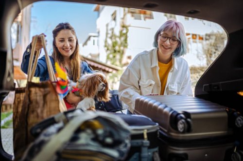 close up of a young family and their dog packing up for a road trip - travel stock pictures, royalty-free photos & images