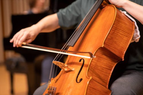 close up of cellist playing at classical concert - concert stock pictures, royalty-free photos & images