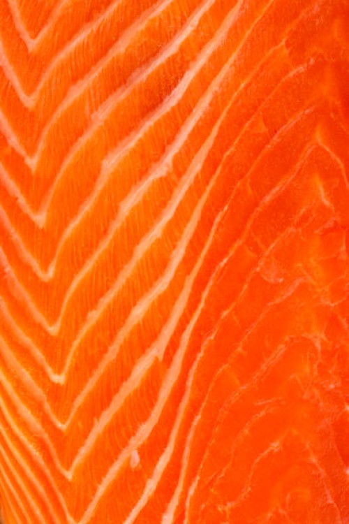 close up of raw salmon meat, studio shot - food stock pictures, royalty-free photos & images