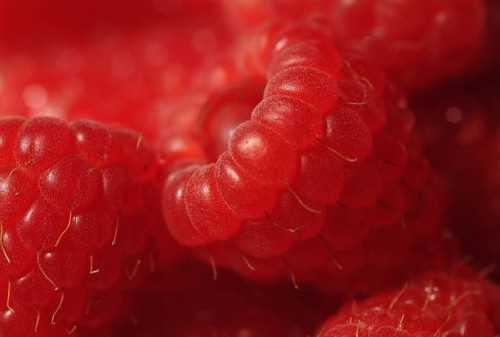 close up of red raspberries (rubus idaeus) - food stock pictures, royalty-free photos & images