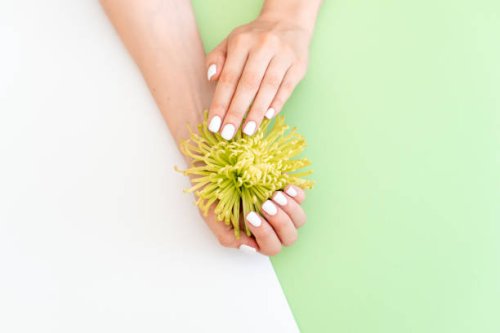 closeup view of woman with flower on color background. spa treatment - nails art stock pictures, royalty-free photos & images