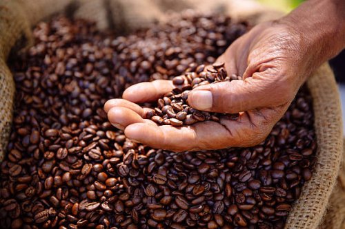 coffee beans freshly roasted, aromatic and healthy - coffee stockfoto's en -beelden