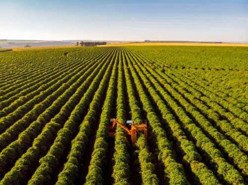coffee combine harvester - coffee stock pictures, royalty-free photos & images