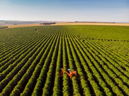 coffee combine harvester - coffee stockfoto's en -beelden