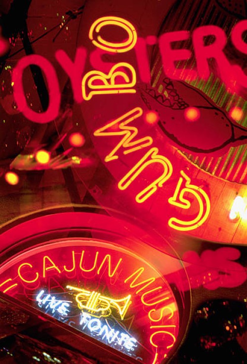 collage of cajun culture signs - food photos et images de collection