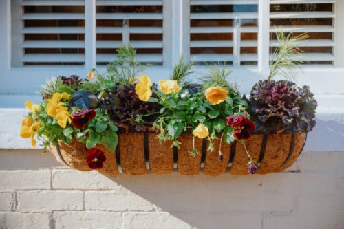 colorful annual plants adorn window box - garden decoration stock pictures, royalty-free photos & images